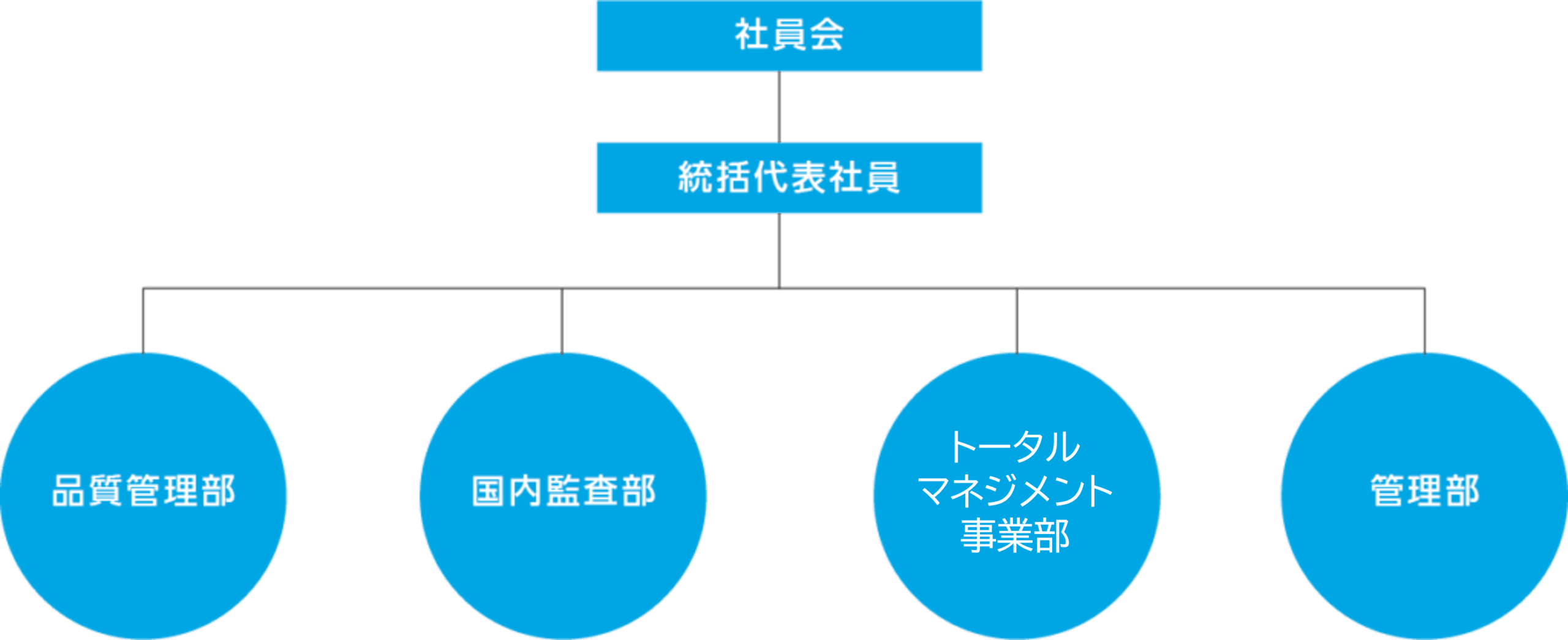 ガバナンス・コード - あおい監査法人